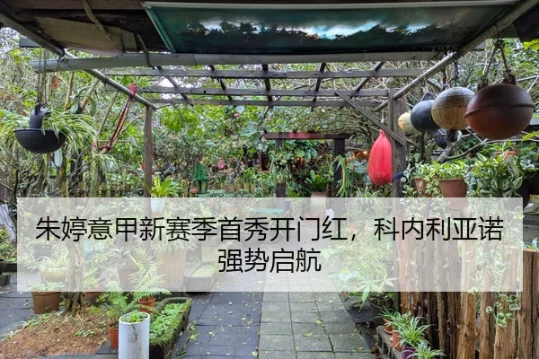 朱婷意甲新赛季首秀开门红，科内利亚诺强势启航