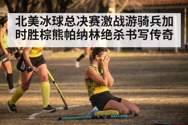 北美冰球总决赛激战游骑兵加时胜棕熊帕纳林绝杀书写传奇