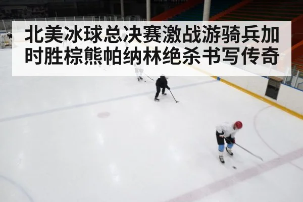 ice hockey game